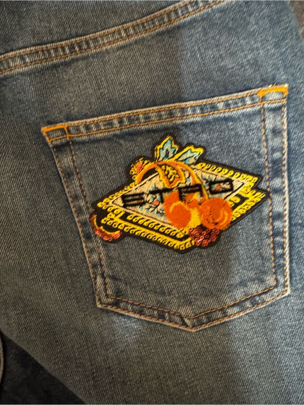 Etro embroidered rear logo, very rare runway size 26